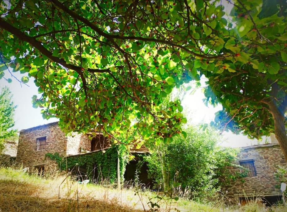 Cortijo Rural El Albercon - Capileira - Alpujarra Rural Exterior foto