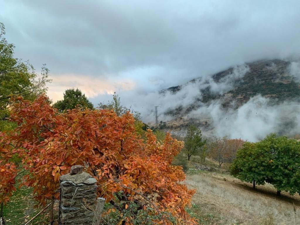 Cortijo Rural El Albercon - Capileira - Alpujarra Rural Exterior foto